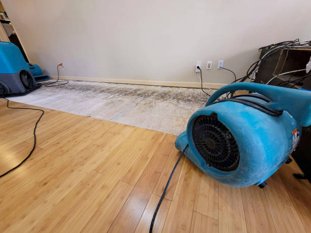 Reliable Flood Damage Restoration contractor in Bloomington, IL by Hirex Water Damage
