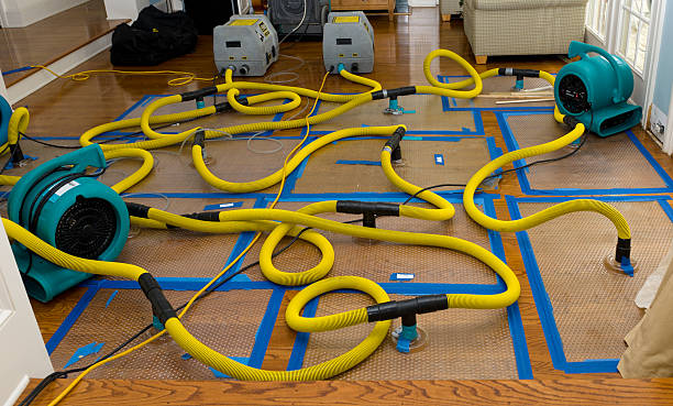 Professional Flood Damage Restoration technician working in Bloomington, IL